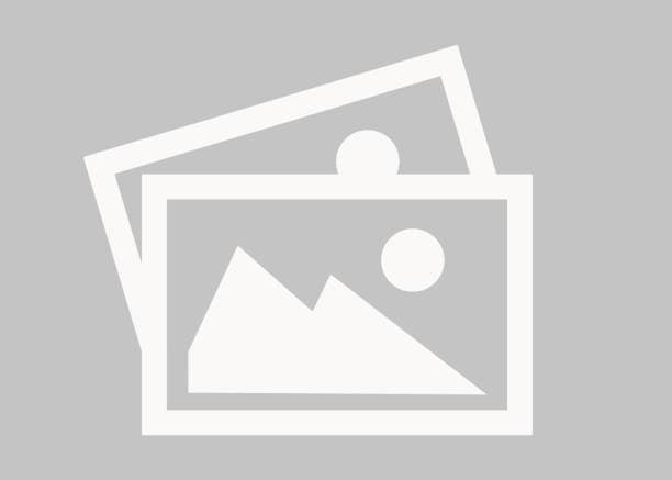 VCCI seeks new opportunities for Vietnamese businesses in Libya