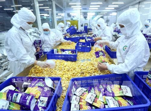  Guidance on purchasing and selling goods between export processing and domestic enterprises