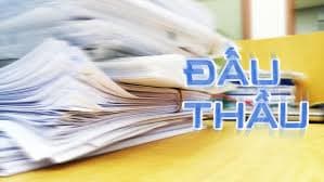  Bases for determination of the form of bidding package