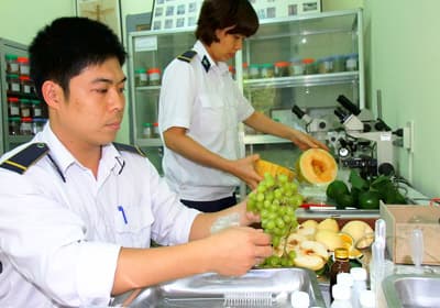  Solving quarantine procedures problems to imported plant origingoods