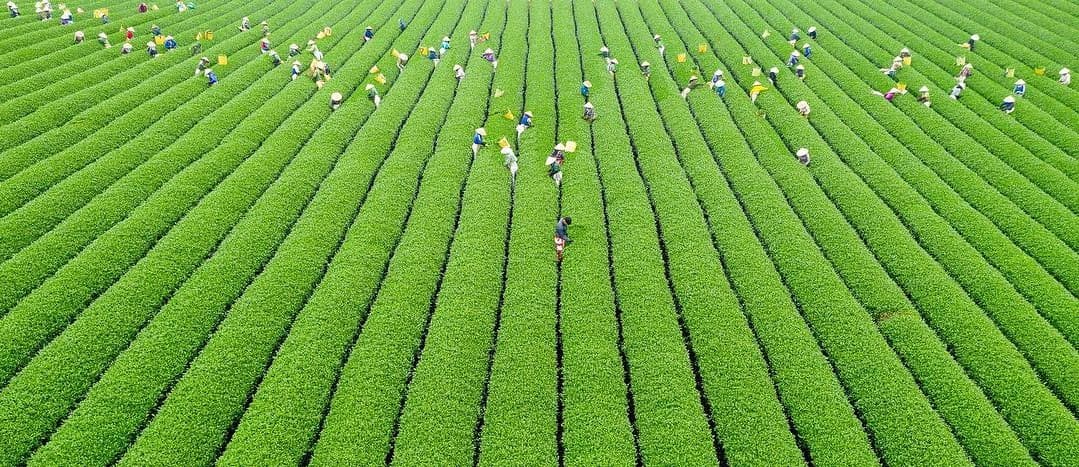 In pictures: #Vietnam this week