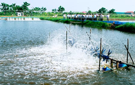 Do seafood importers have to set up environmental protection projects?