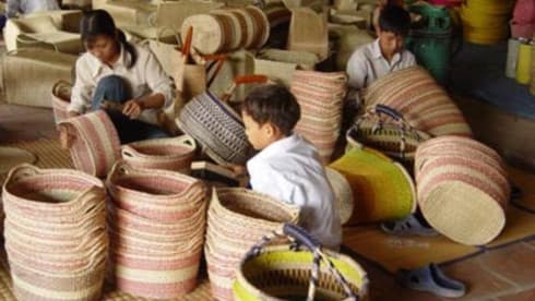 Vietnam acts to prevent child labor