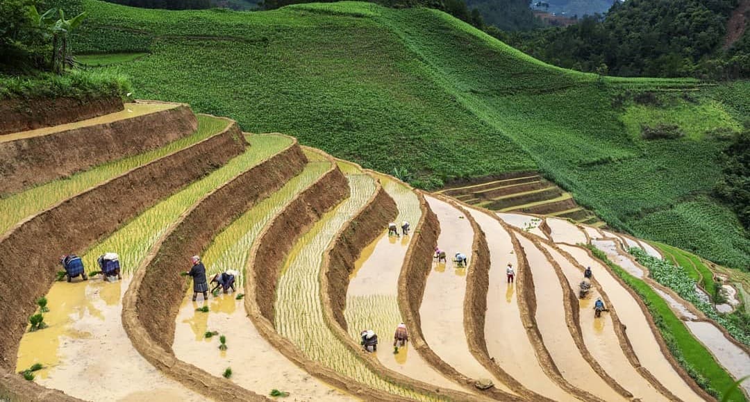 In pictures: #Vietnam this week