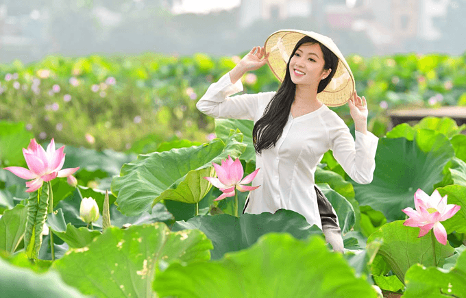 Lotus season attracts selfie bees