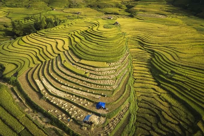 Lao Cai terraces glitter from above