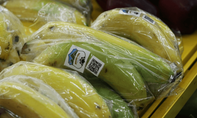 HAGL Agrico’s losses surge in Q3