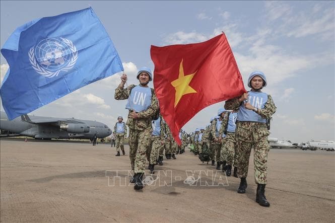 UNSC looks for VN’s active role 
