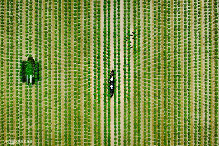 A bird’s-eye view of Vietnam