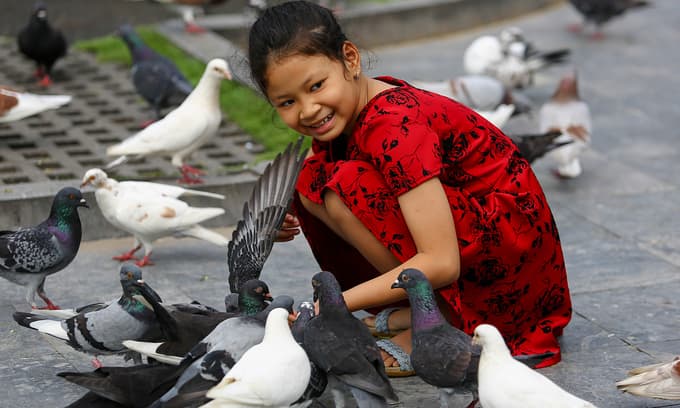 Vietnam slips on global peace index