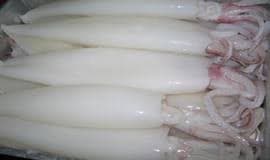 Squid, octopus exports down 21.2%