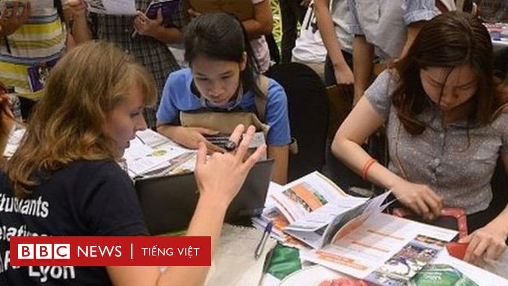 Conditions for foreigners to study in universities in VN