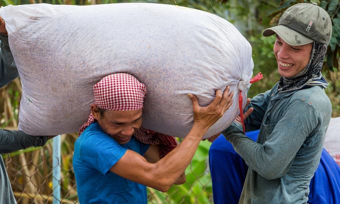 Rice export price hits 9-year high