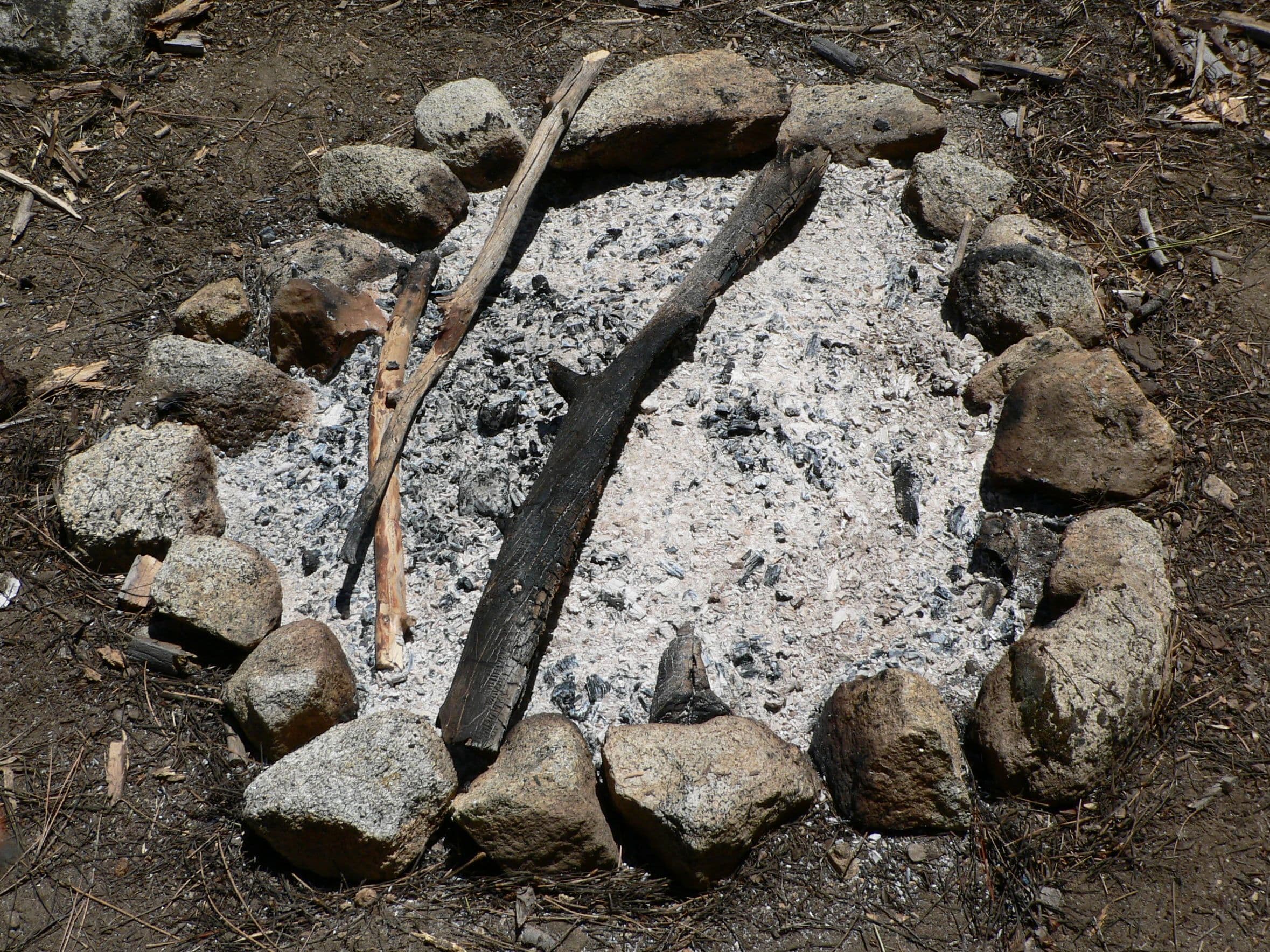 What kind of waste is from wood ash burned?
