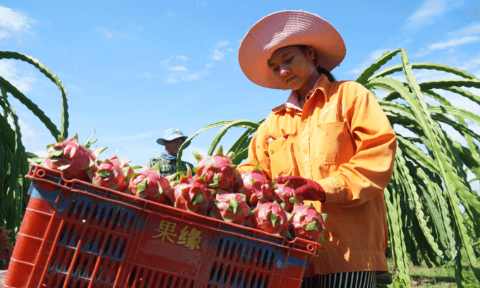 ADB pegs Vietnam growth at 1.8 pct