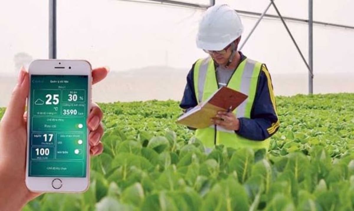 Vietnam promoting hi-tech farming 