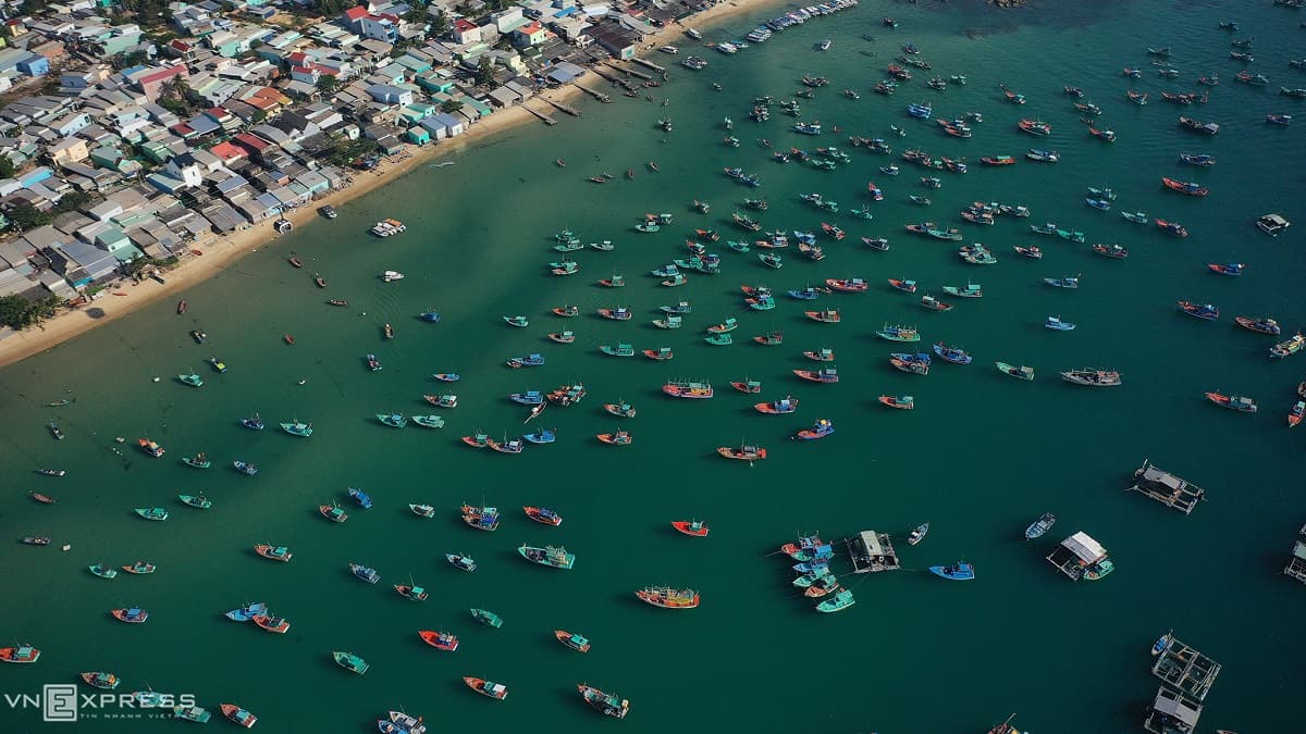 Busy year-end fish port in Phu Quoc