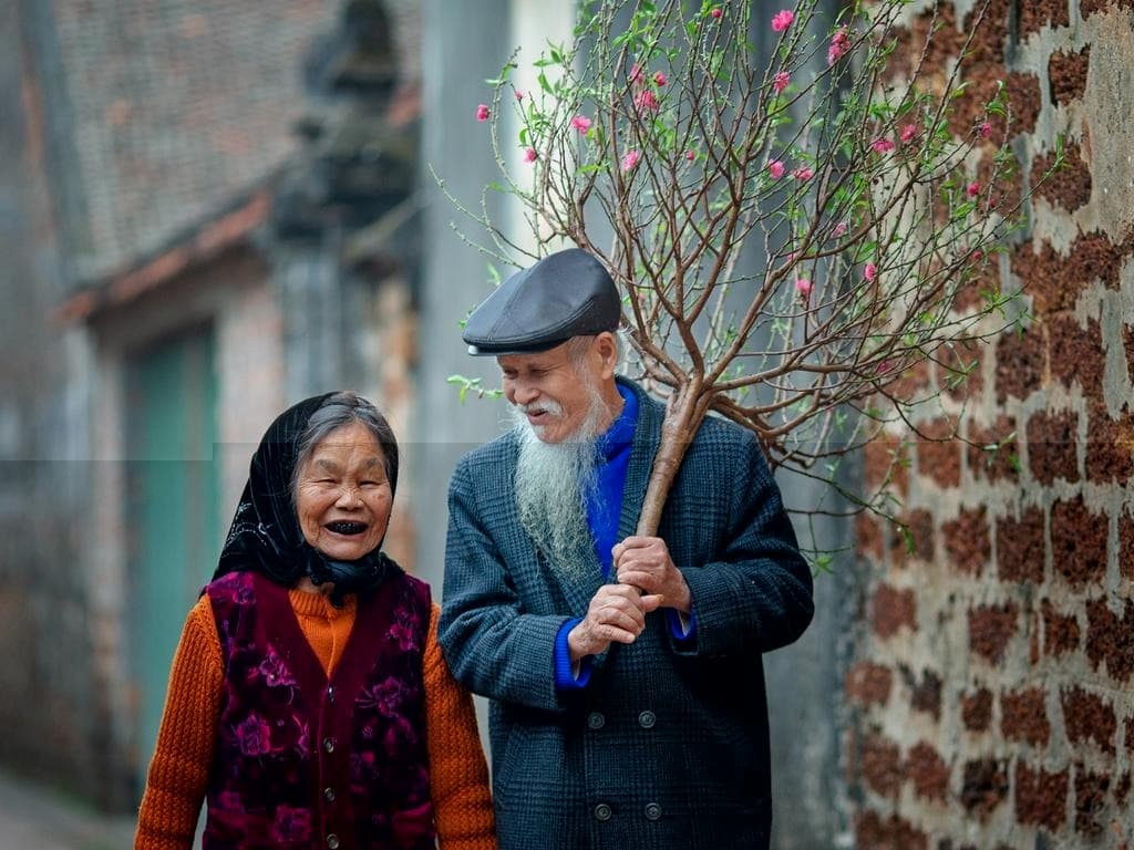 Spring blooms across Vietnam
