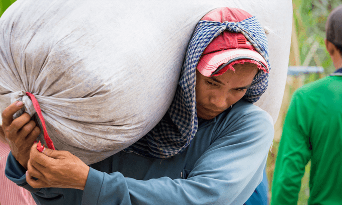 Rice price surges 18 pct