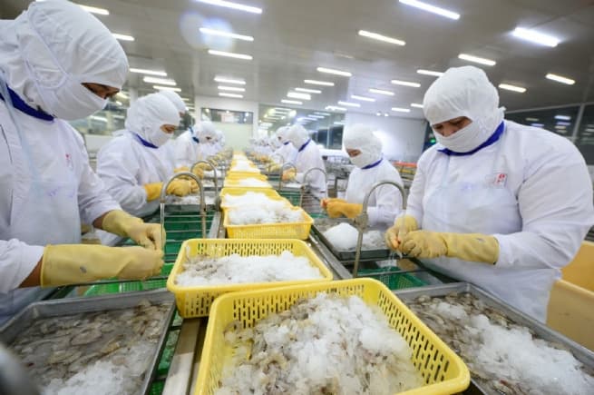How Can Businesses Utilize CPTPP?