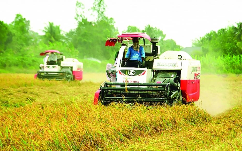 FTAs boost export growth