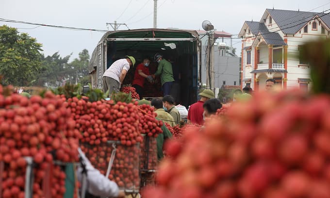 Agricultural exports up 28.2 pct