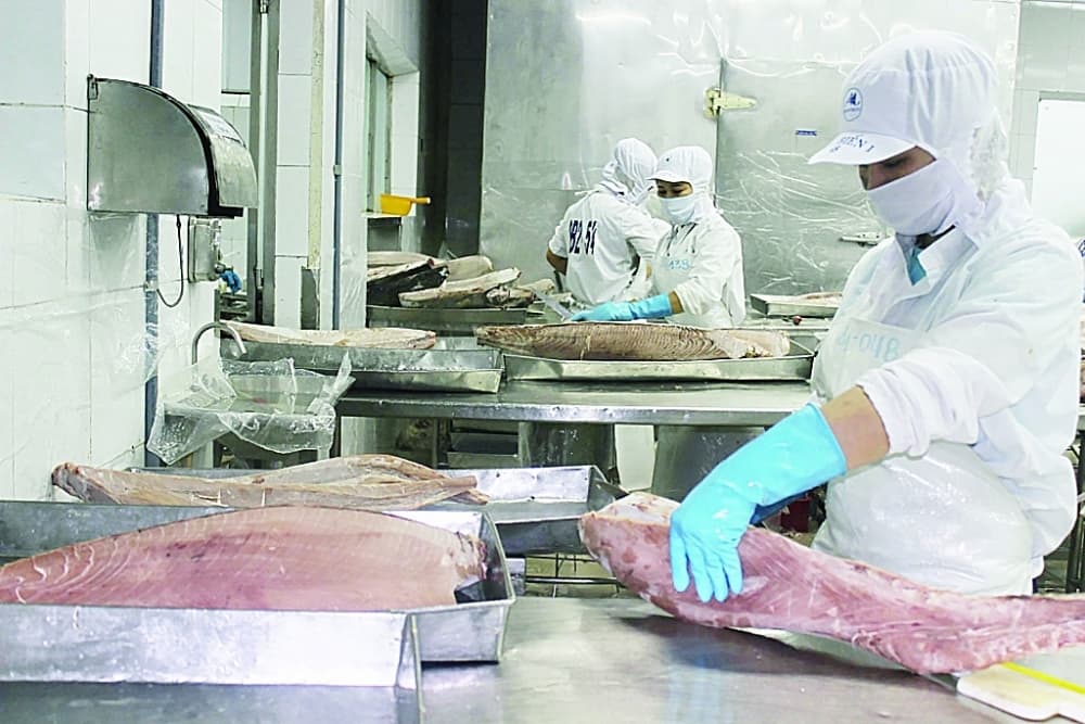 Plenty of room for seafood exports