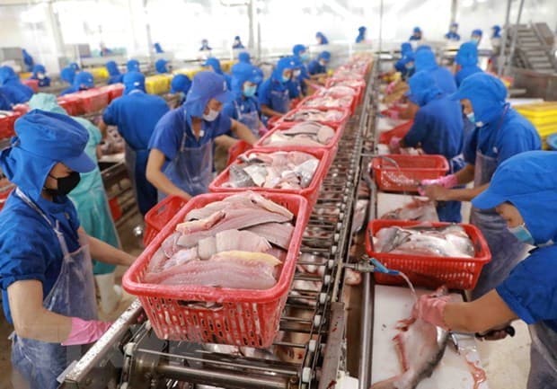 Fisheries exports down in July