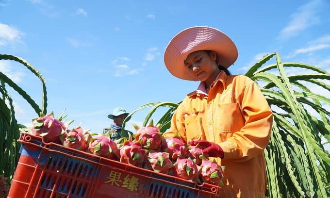 Fruit exports to South Korea surge
