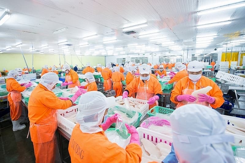 Pangasius export is still difficult