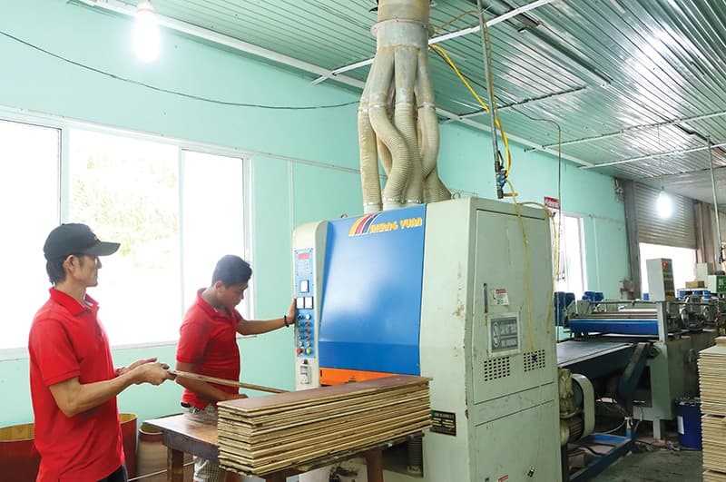 Timber groups waking up to change