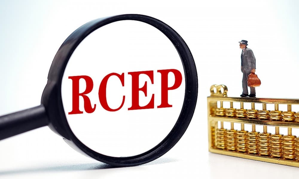 What RCEP means for Viet Nam