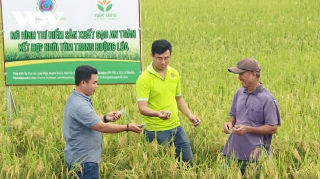 Towards Sustainable Agriculture