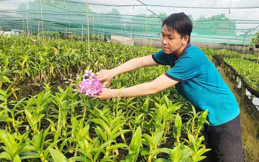 HCMC develops urban agriculture