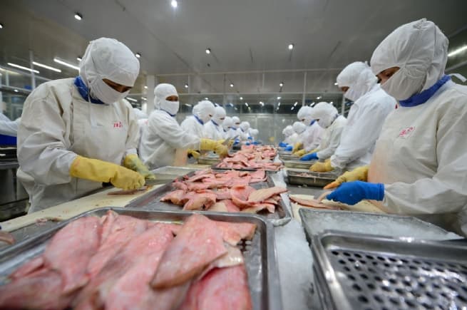 Impressive Growth in Seafood Exports