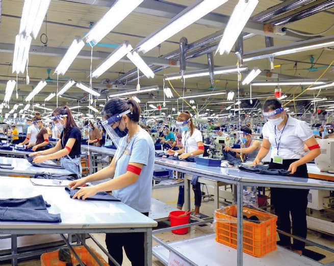 EVFTA Boosts Trade Surplus with EU