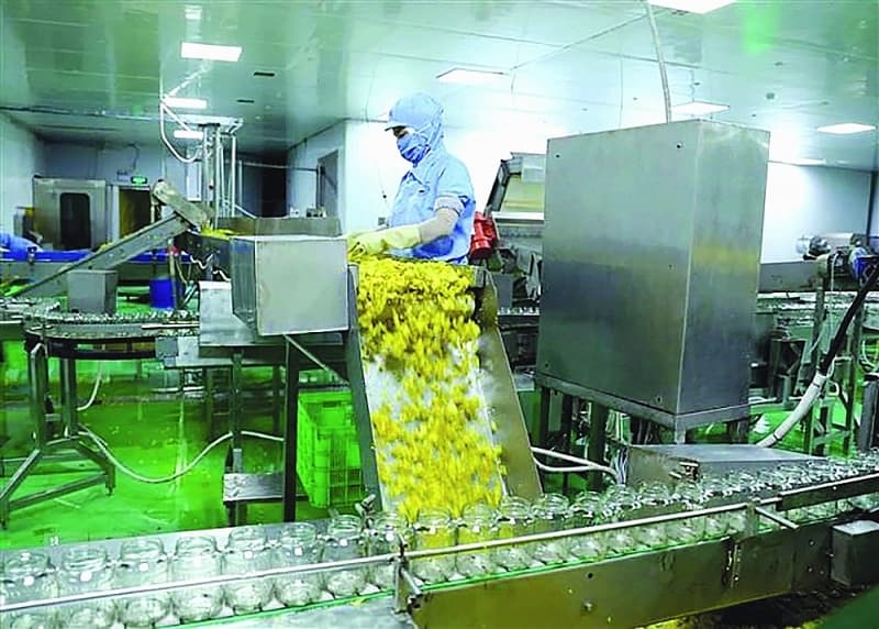 Export to Kuwait: Modest turnover
