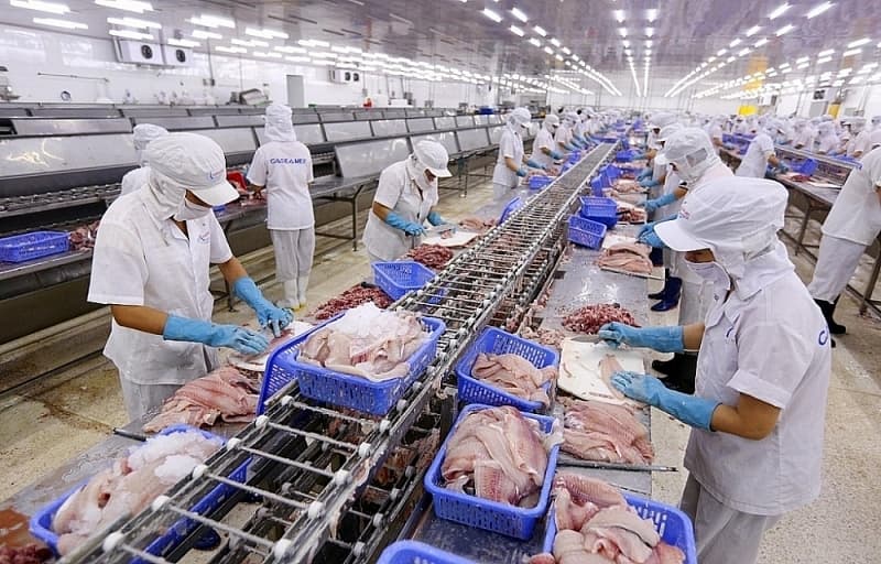 Enterprises expand catfish exports