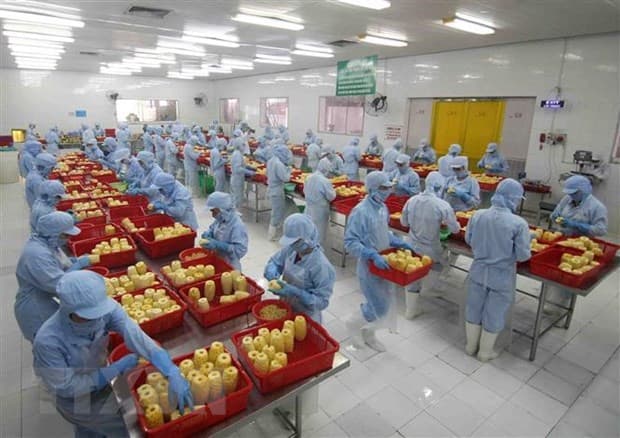 Vietnam’s exports to Hungary on the rise