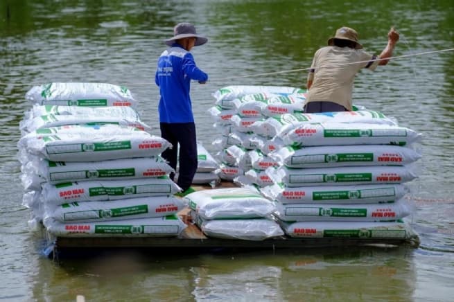 Nutrition Solutions for Strong Fish