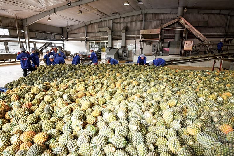 Processing prevents EU agro-increase