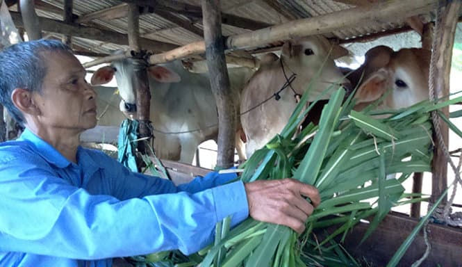 Farmers are considered to reduce loan interest and enjoy support policies