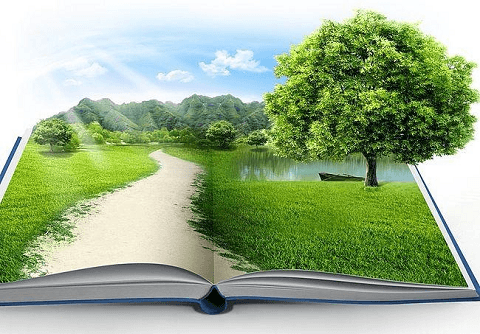 Strongly reforming administrative procedures on environmental licensing