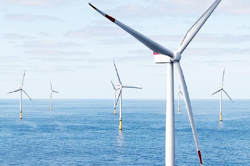 Green Economy: The role of FDIs