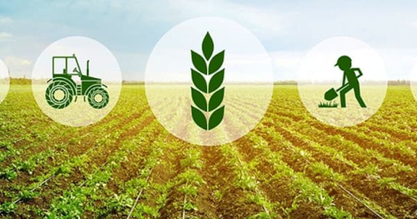 Regulations on probation contract