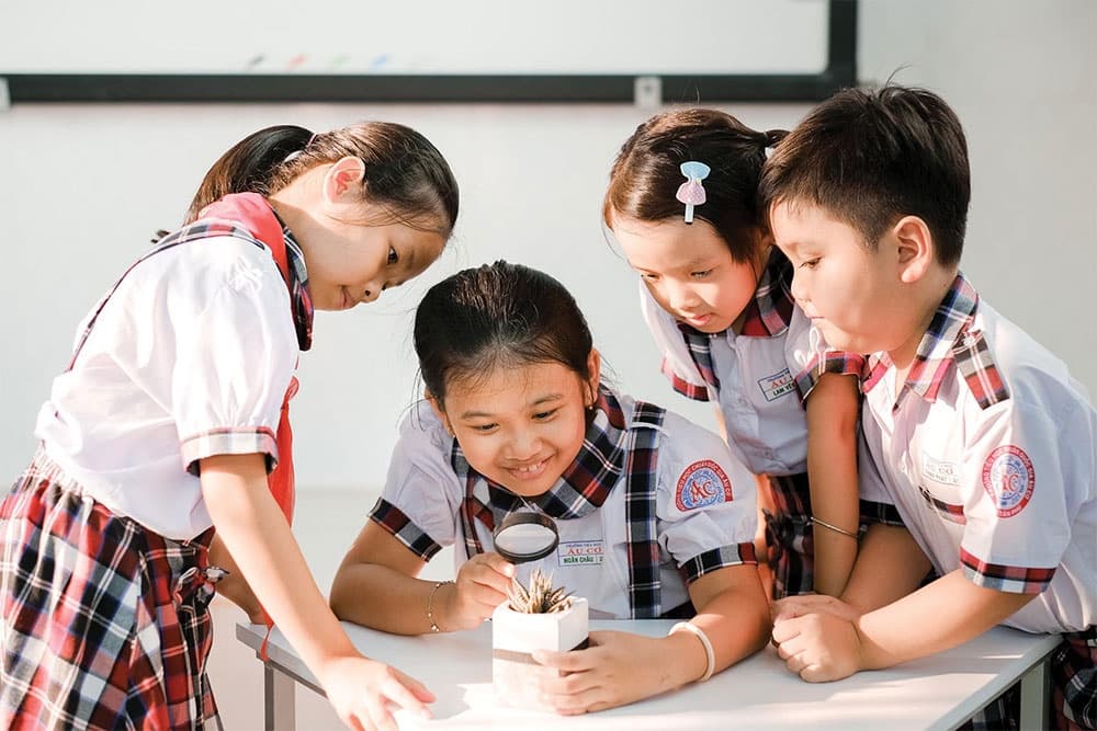 Partnerships blossoming in education