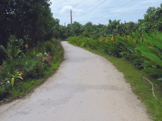 Toward Green, Responsible Agriculture