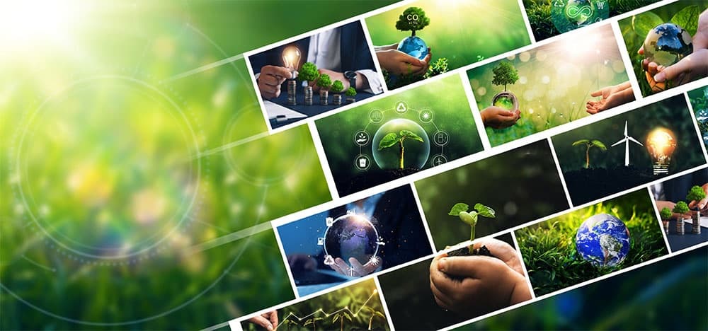 Agri-exports hitting the shelves