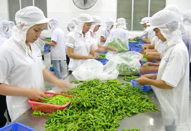 Food firms face tough times