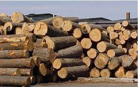 New regulations do not require certification of the origin of finished wood products